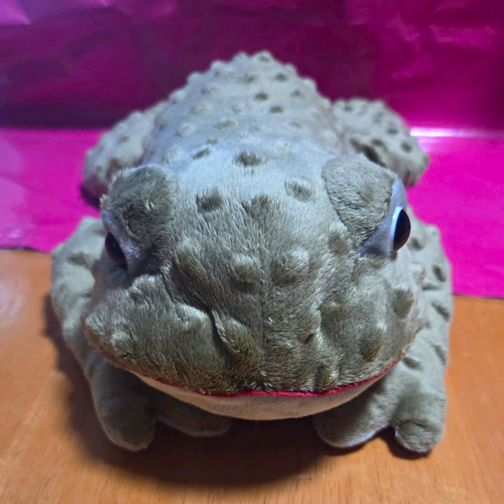 Sonoma Freddy The Eucalyptus Frog Microwaveable Aromatherapy Lavender Scented